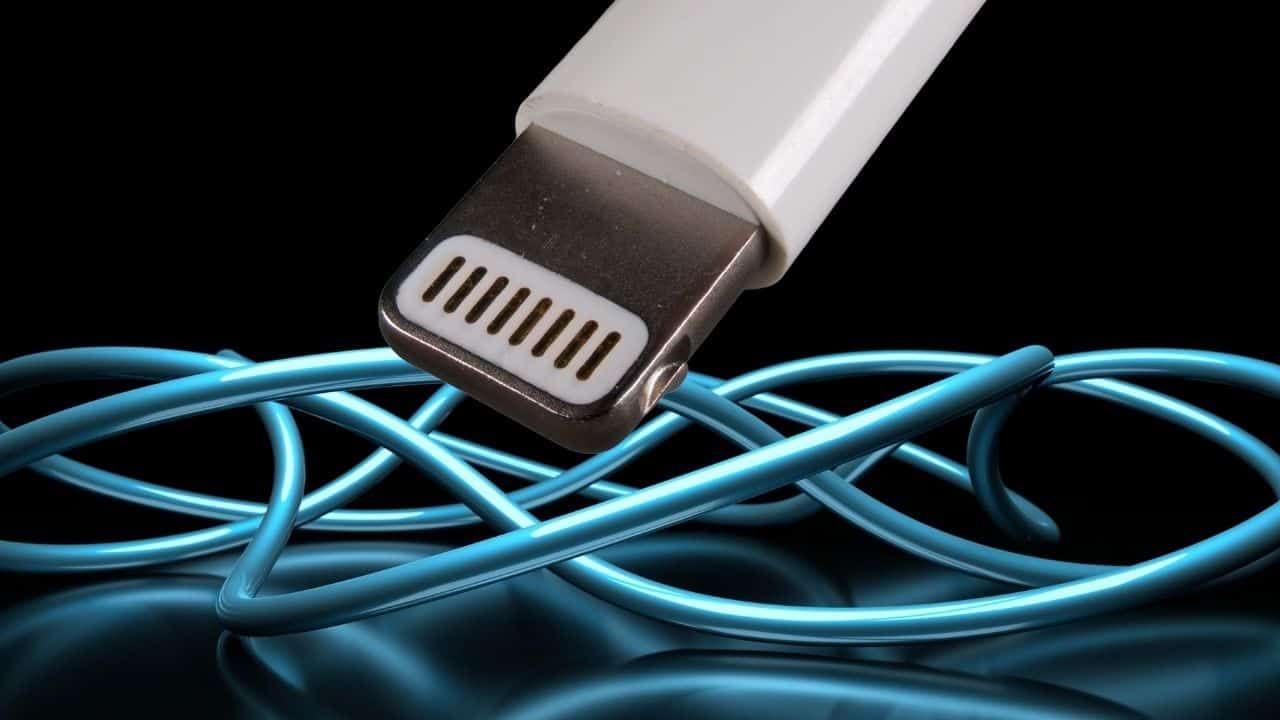 Introducir 73+ imagen how to check original iphone charger cable